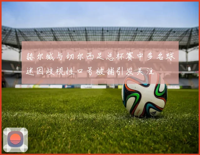 赫尔城与切尔西足总杯赛中多名球迷因歧视性口号被捕引发关注