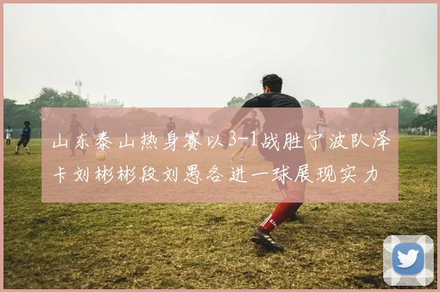 山东泰山热身赛以3-1战胜宁波队泽卡刘彬彬段刘愚各进一球展现实力
