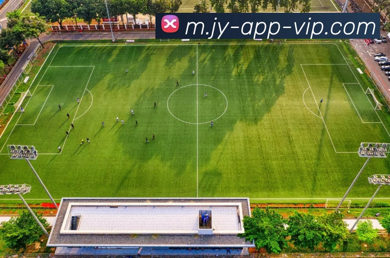 多媒体互动体验